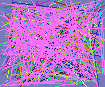 phone look up